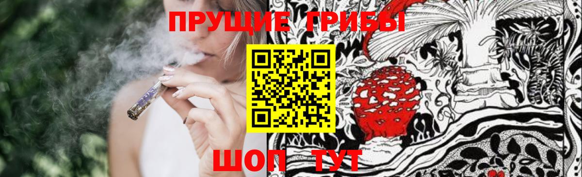 Тосно  Псилоцибиновые грибы ЛСД  Вход с VPN 
